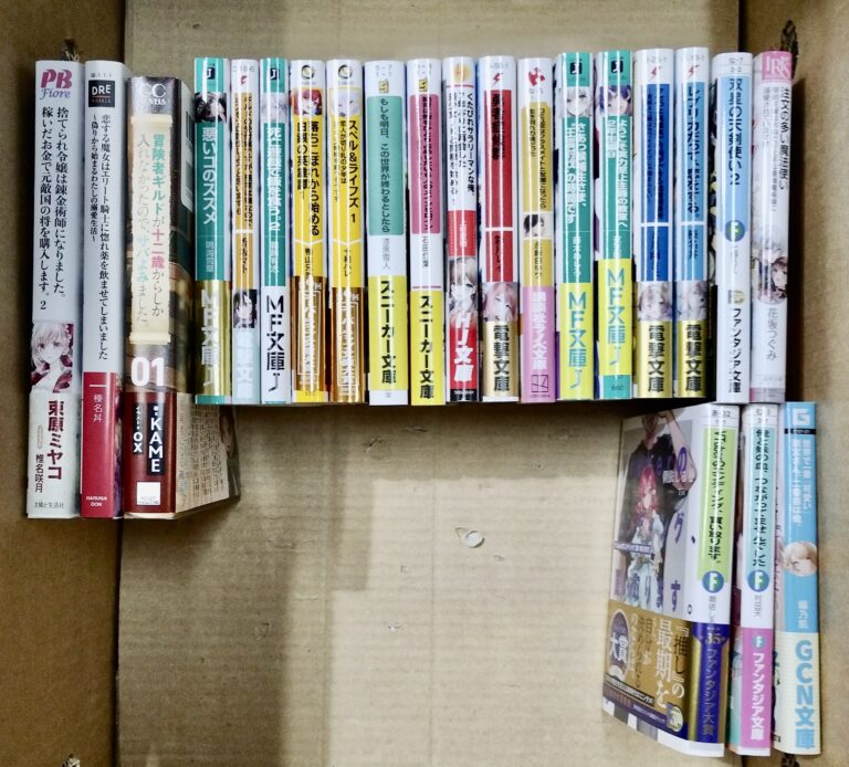 【買取事例】ライトノベル / 小説 / 文庫 / 異世界 買取点数 22点　査定合計価格 ¥5,002